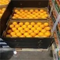 Valencia Orange